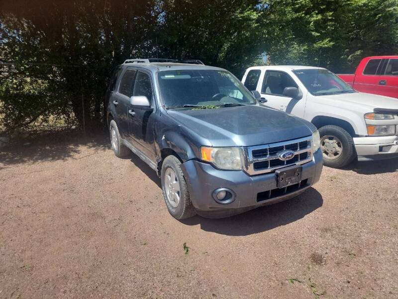 2010 Ford Escape XLT