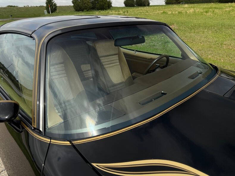 1981 Pontiac Firebird Trans Am