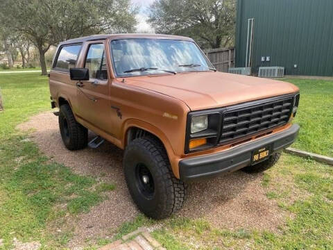 1981 Ford Bronco for sale at Classic Car Deals in Cadillac MI