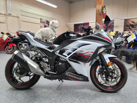 2014 Kawasaki Ninja 300