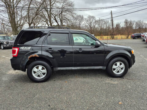 2011 Ford Escape XLT