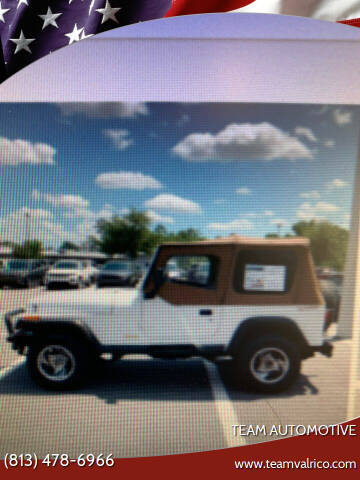 1995 Jeep Wrangler for sale at TEAM AUTOMOTIVE in Valrico FL