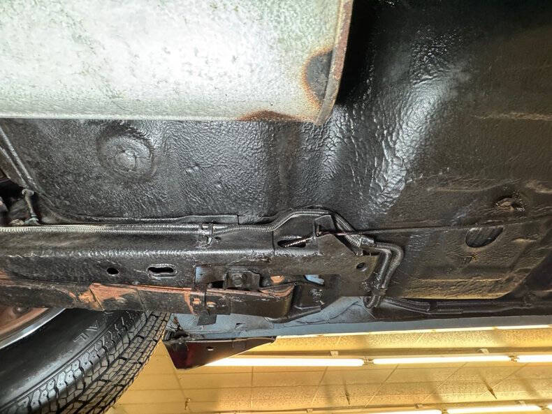 1981 Pontiac Firebird Trans Am