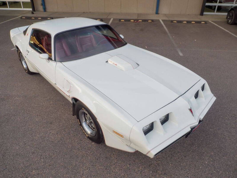 1981 Pontiac Firebird Trans Am