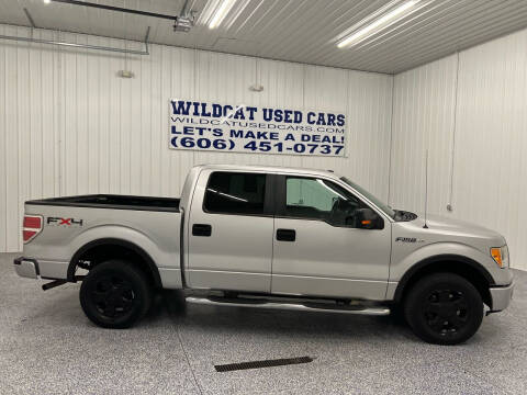 2010 Ford F-150 for sale at Wildcat Used Cars in Somerset KY