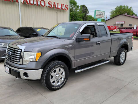 2010 Ford F-150 for sale at De Anda Auto Sales in Storm Lake IA