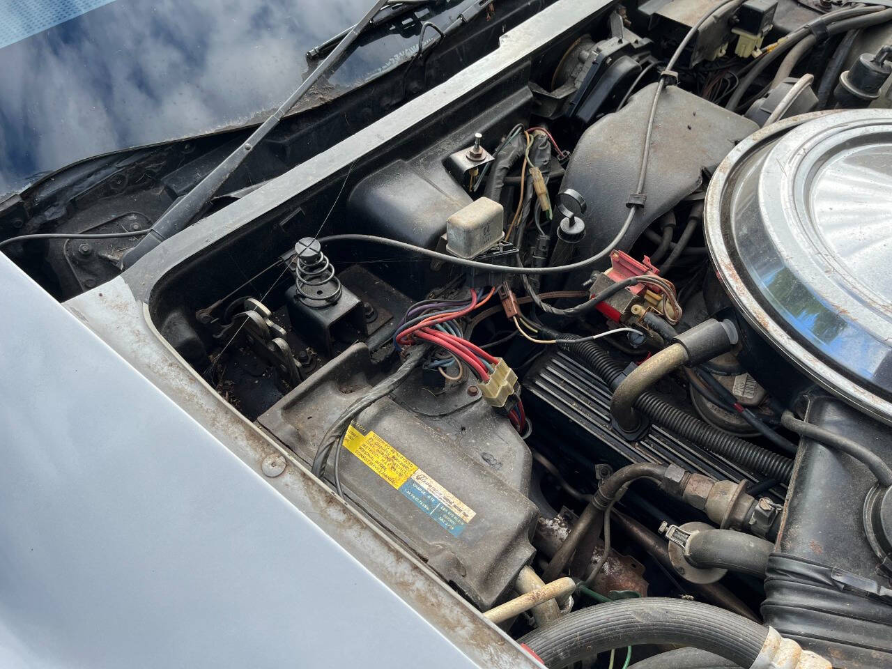 1981 Chevrolet Corvette 17