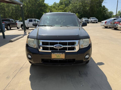 2008 Ford Escape XLT