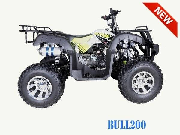 2023 TAO MOTOR BULL 200 for sale at Advanti Powersports in Mesa, AZ