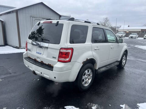 2011 Ford Escape Limited