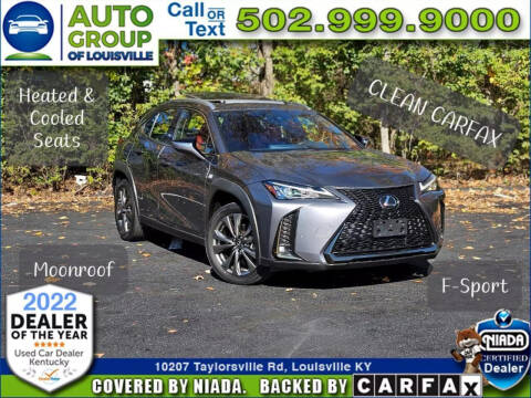 2020 Lexus UX 200 for sale at Auto Group of Louisville in Louisville KY