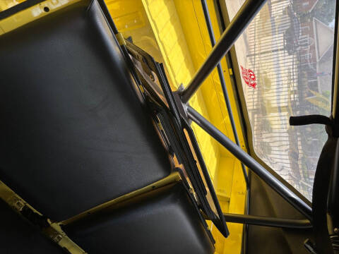 1973 Volkswagen Thing