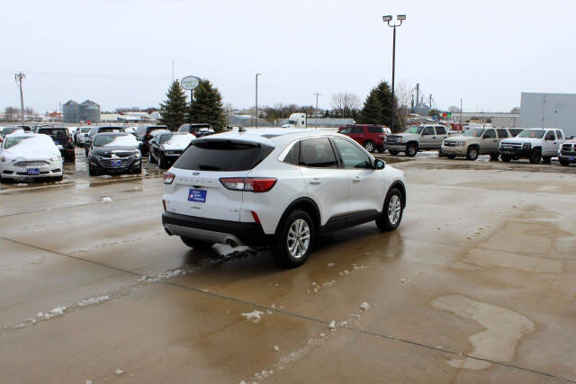 2020 Ford Escape for sale at Cresco Motor Company in Cresco, IA