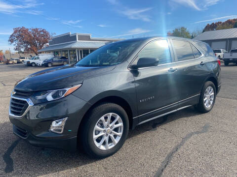 2021 Chevrolet Equinox for sale at Blake Hollenbeck Auto Sales in Greenville MI