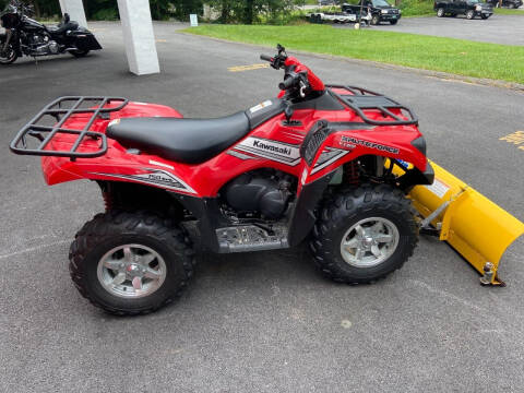 2017 Kawasaki Brute Force™