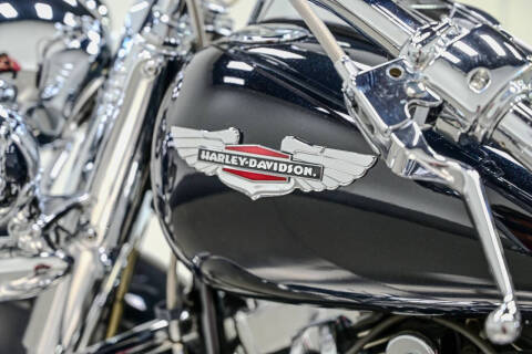 2009 Harley-Davidson FLTSN
