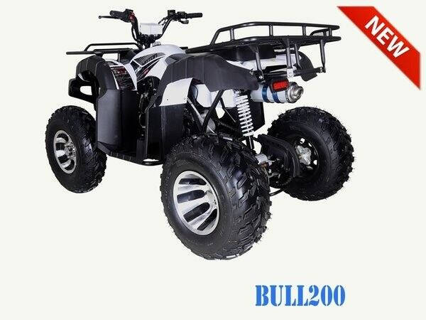 2023 TAO MOTOR BULL 200 for sale at Advanti Powersports in Mesa, AZ