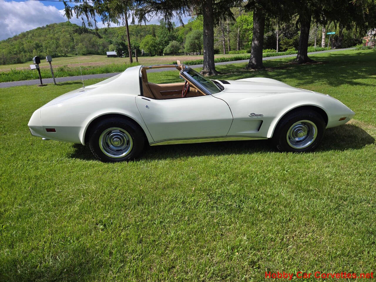 1976 Chevrolet Corvette 11