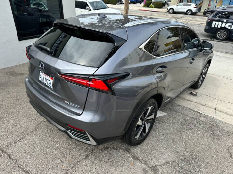 2021 Lexus NX 300h