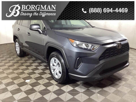 2019 Toyota RAV4 for sale at BORGMAN OF HOLLAND LLC in Holland MI