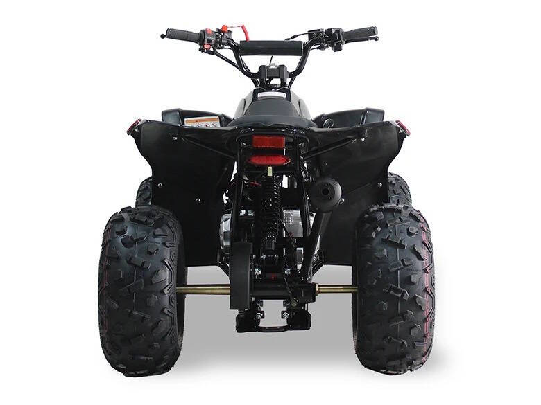 2024 SYXMOTO  PRO SERIES ATV SY125 for sale at TEXAS MOTORS POWERSPORT in ORLANDO, FL