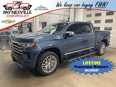 2024 Chevrolet Silverado 1500 for sale at Paynesville Chevrolet in Paynesville MN
