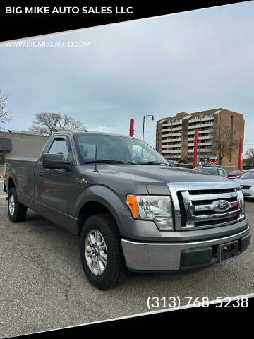 2012 Ford F-150 for sale at BIG MIKE AUTO SALES LLC in Lincoln Park MI