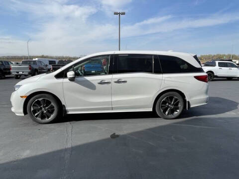 2023 Honda Odyssey Elite