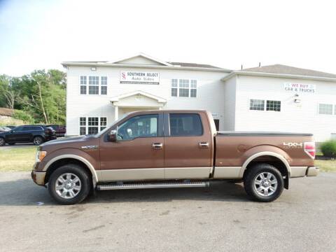 2012 Ford F-150 for sale at SOUTHERN SELECT AUTO SALES in Medina OH