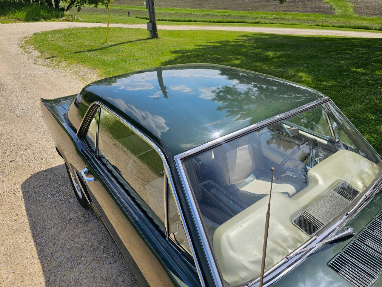1965 Ford Mustang 89