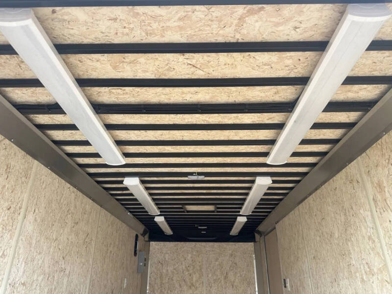 2026 Look LXT, CARGO