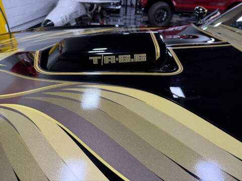 1981 Pontiac Firebird Trans Am