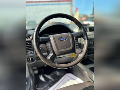 2010 Ford Escape XLT