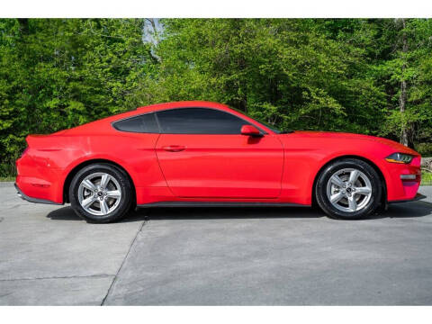 2019 Ford Mustang EcoBoost