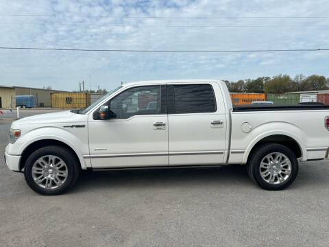 2013 Ford F-150 for sale at Thoroughbred Motors LLC in Scranton SC