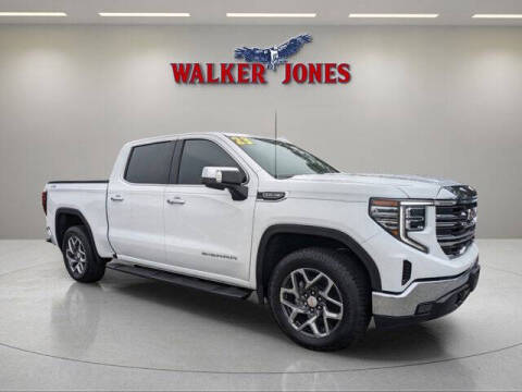 2023 GMC Sierra 1500 for sale at Walker Jones Automotive Superstore in Waycross GA