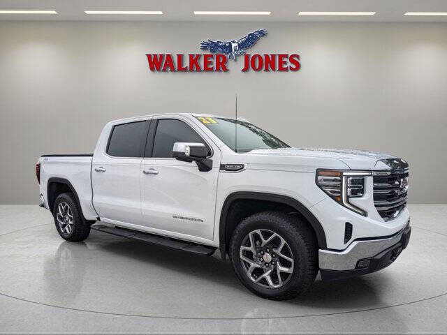2023 GMC Sierra 1500 for sale at Walker Jones Automotive Superstore in Waycross GA