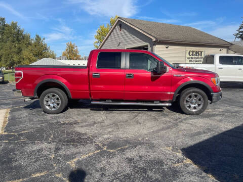 2009 Ford F-150 for sale at MARK CRIST MOTORSPORTS in Angola IN