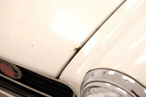 1966 Austin-Healey Sprite MKIII