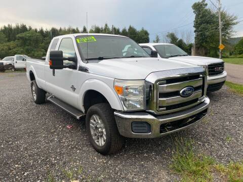 2011 Ford F-250 Super Duty for sale at Lavelle Motors in Lavelle PA