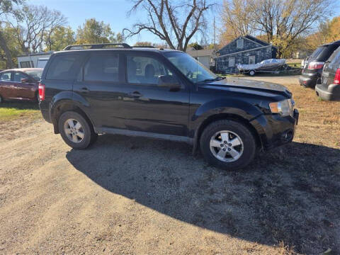 2010 Ford Escape XLT