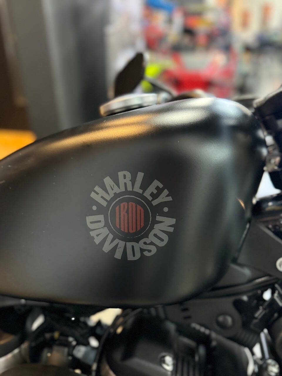 2022 Harley-Davidson XL 883 Sportster for sale at TEXAS MOTORS POWERSPORT in ORLANDO, FL