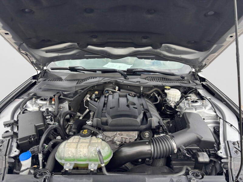 Click to enlarge