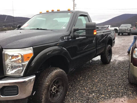 2011 Ford F-250 Super Duty for sale at Troy's Auto Sales in Dornsife PA