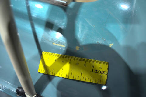 1965 Volkswagen Beetle