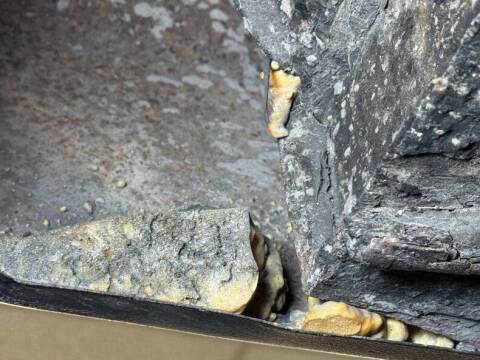 1956 Nash Metropolitan