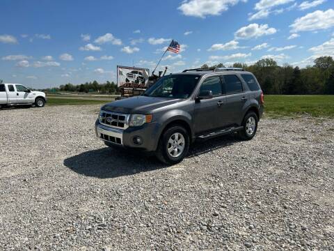 2010 Ford Escape for sale at Ken's Auto Sales & Repairs in New Bloomfield MO