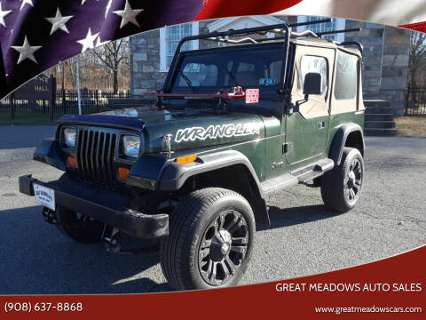 1995 Jeep Wrangler for sale at GREAT MEADOWS AUTO SALES in Great Meadows NJ