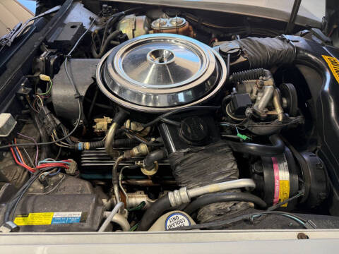 1981 Chevrolet Corvette