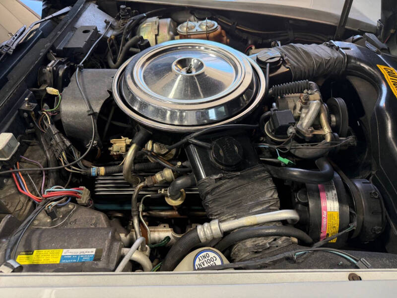 1981 Chevrolet Corvette